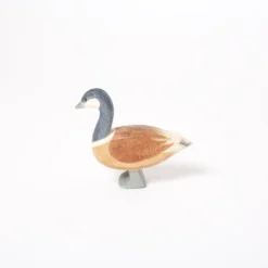 Canada Goose | Standing