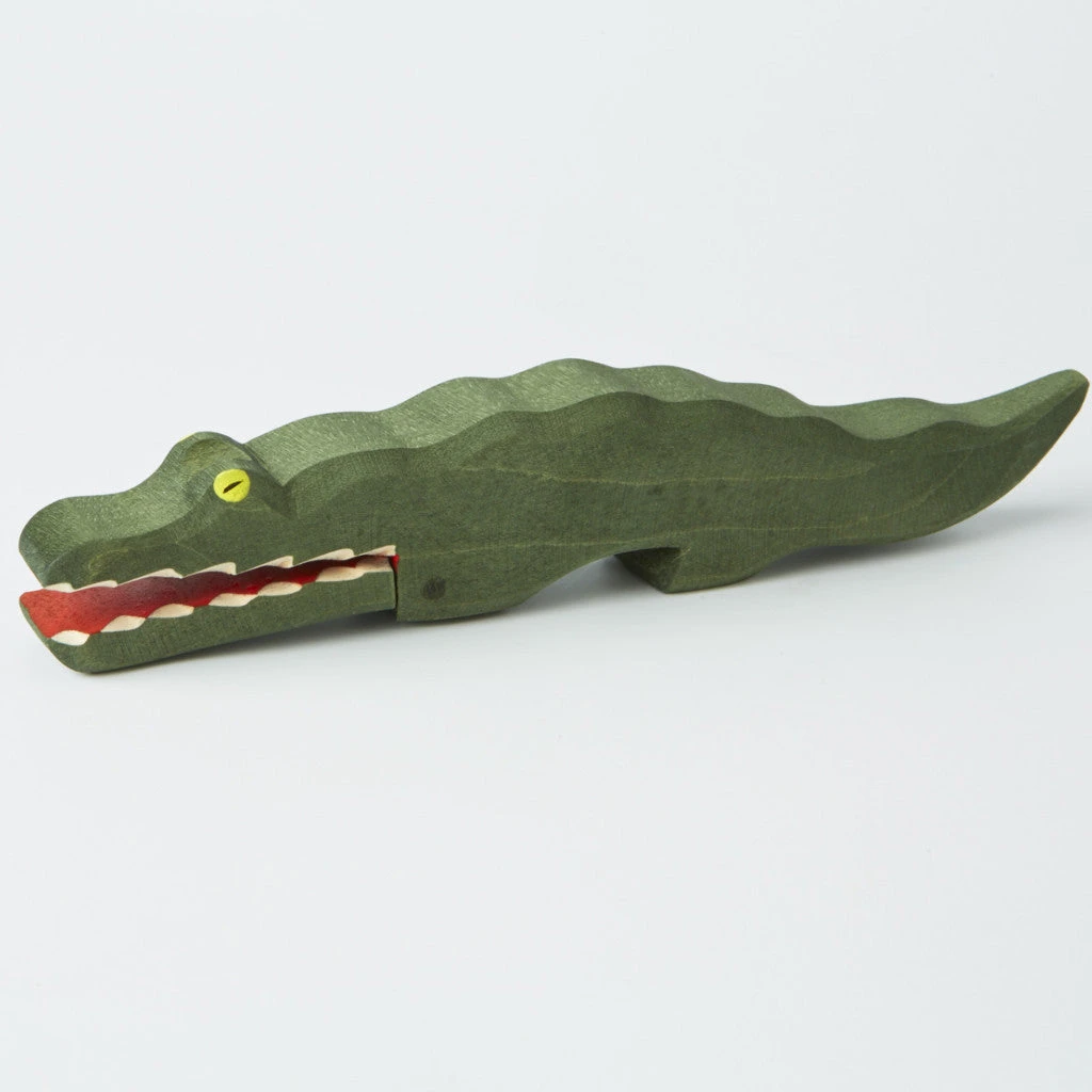 Crocodile 1 Crocodile