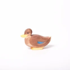Duck | Sitting