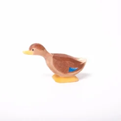 Duck | Long Neck