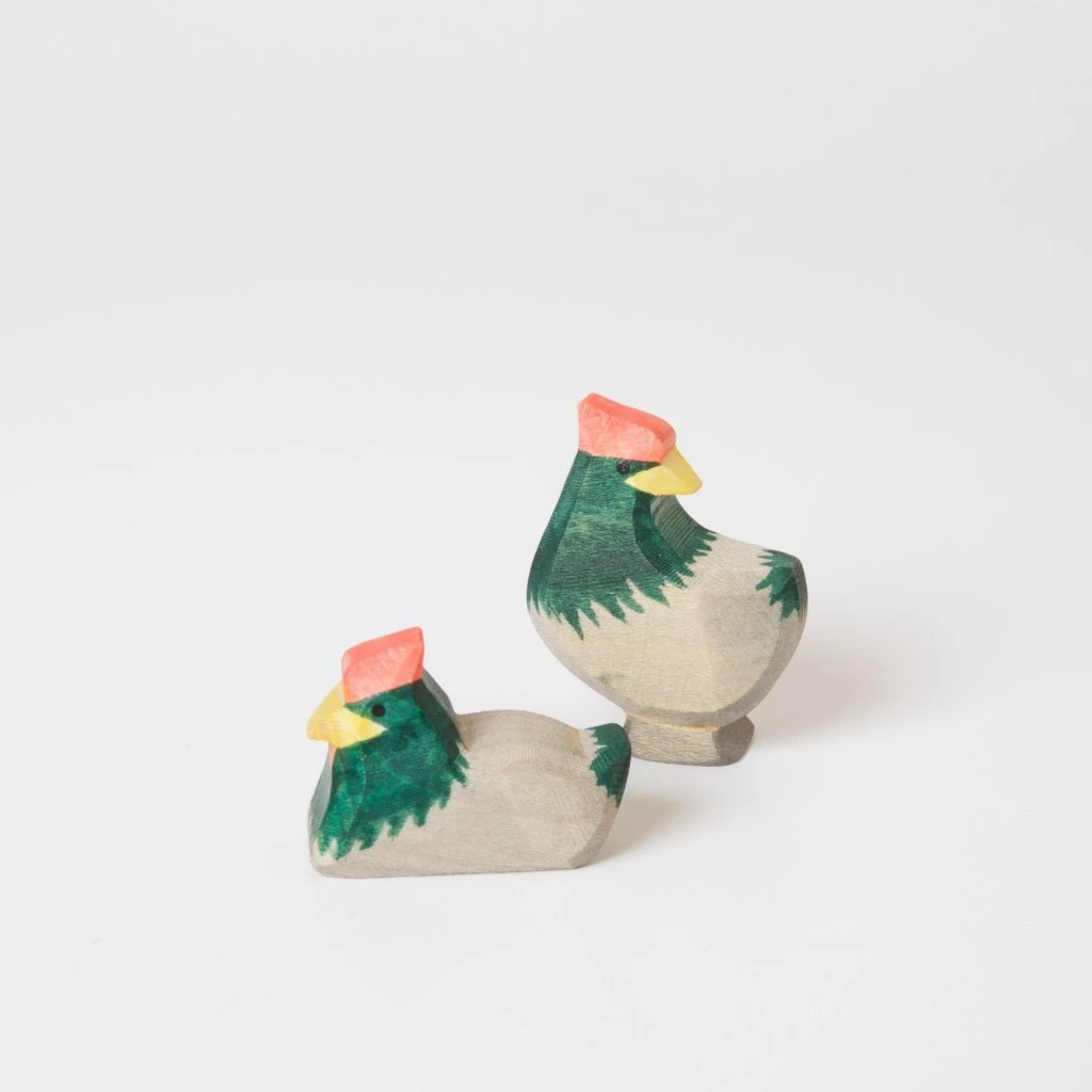 Hen Dark Head Turning 2 Hen Dark Head Turning - Image 2