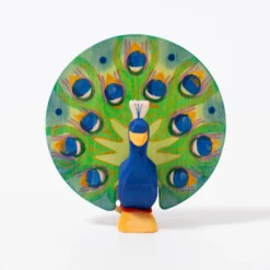 Peacock | Tail Feathers Open