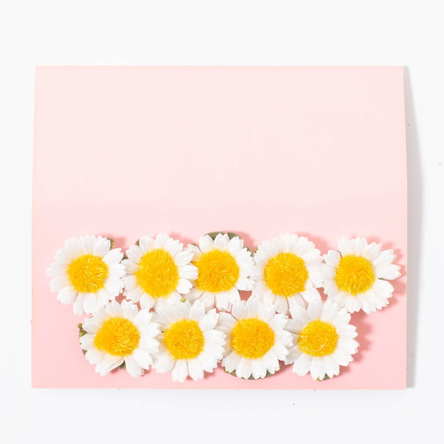 Daisy Chain | Box Of 20 Daisies 5 Daisy Chain | Box Of 20 Daisies - Image 5